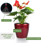 Dexceder 11x10 Inches High Gloss Self Watering Planter Indoor Outdoor, Inner Pot Design, Thickened Table Flower Plant Pot with Water Level Indicator (Red)
