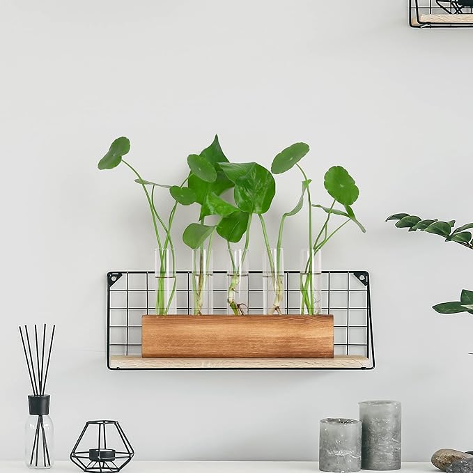 Terrariums Propagation Station with 5 Glass Test Tubes and Wooden Stand, Brown