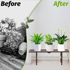 2 Pack Metal Plant Stand Outdoor Indoor, 1 Tier Folding Tiered Flower Plant Shelf, Heavy Duty Ladder Multiple Pot Display Plant Rack for Patio Garden Balcony Windowsills, Brown