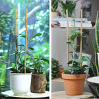 Bamboo Trellis, 16in Ladder-Shaped Trellis for Potted Plants, 3 Pack for Climbing Plants Indoor