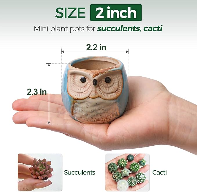 Planter Pots Mini Ceramic Owl Design, 12 Pack with Drainage Holes