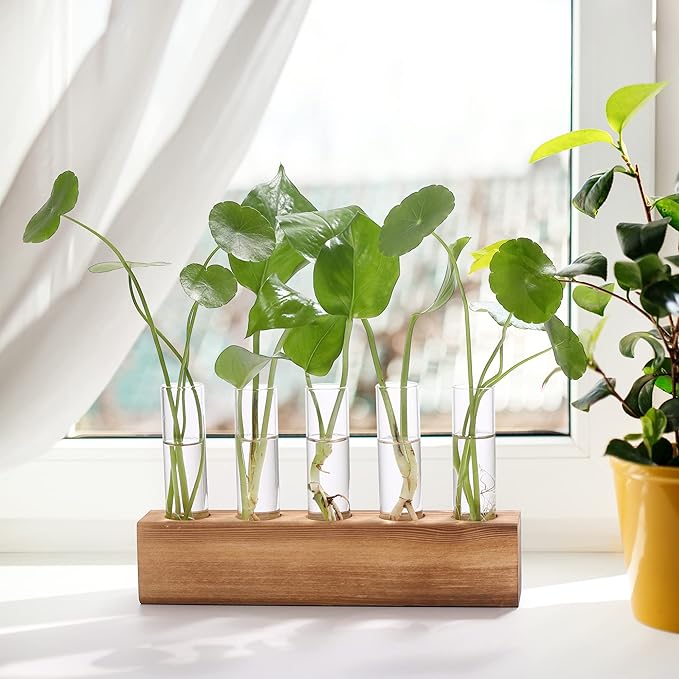 Terrariums Propagation Station with 5 Glass Test Tubes and Wooden Stand, Brown