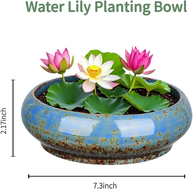 7.3 Inch Succulent Planters Pots Shallow Ceramic Glazed Planter Pots, Lotus Bowl Planter Round Shallow Planter Water Lily Pot for Indoor/Outdoor Plants Decorative (Blue)