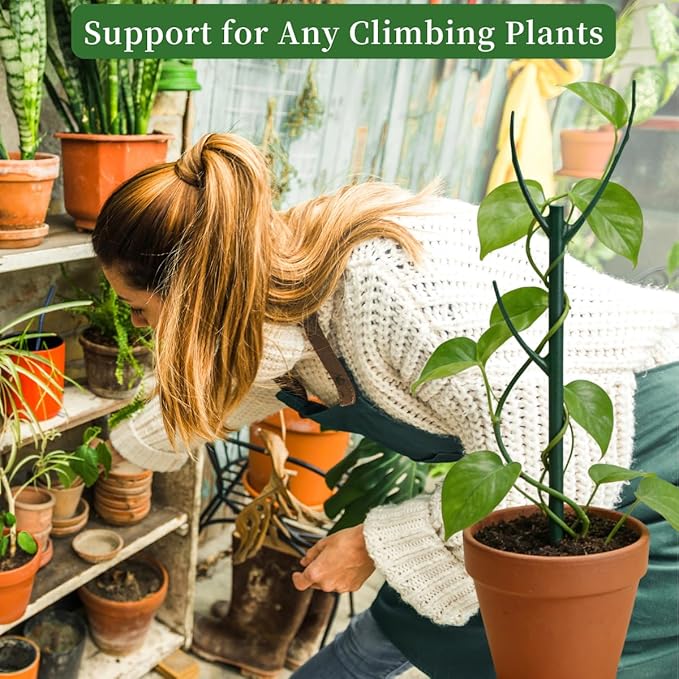 6 Pack Stackable Plant Support Stakes, 43inch Climbing Plant Sticks Structures for Monstera with Garden Ties, Durable Alternative to Moss Pole for Indoor Outdoor Plants