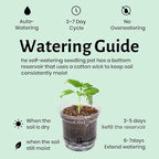 12 Pack 6.5 Inch Clear Self Watering Plant Pots with Bottom Water Tray & Watering Rope, Transparent Nursery Pots with Drainage for Seedlings, Herbs, and Houseplants
