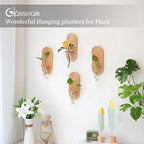 Glasseam Hanging Plant Propagation Stations: Boho Glass Wall Propagation vases Set of 4 - Wood Plant Holder Decorative Planters Terrarium Test Tube for Home Office Indoor Decor