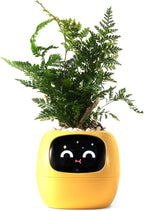 Yellow Plastic Smart Planter with Automated Watering and App Control
