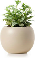 Ceramic Self Watering Plant Pot | 6.8 Inch Pot with 4.5 Inch Inner Pot for Small Plants | Ivory Pot for Indoor Plants | Round Self Watering Planter | Bottom Watering Pots for Indoor Plants