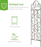 Best Choice Products Set of 2 60x15-inch Iron Arched Garden Trellis w/Branches, Birds for Lawn, Garden, Backyard, Climbing Plants