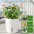 SHENLIU 3" Self Watering Pots, 20 Sets Plastic Self Watering Planters for Indoor Planters with Water Level Indicator and Multiple Vents Perfect for Succulents ﻿House Plants Flowers