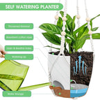 Hanging Planters for Indoor Outdoor Plants, 2 Pack Self Watering Hanging Pot with Drainage Holes, Removable Tray & 2 Kinds of Plant Hangers, 8'' Hanging Flower Pots for Home Garden Decor, White