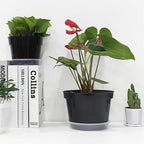 12 Pack Plant Pots, 8 Inch Plant Planter with Clear Saucer, Plastic Pots for Plants Indoor and Out Door Such as Strawberry, Herb and Flowers (Black)