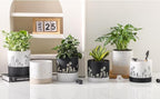 Nihow Ceramic Plant Pot: 6 Inch Planter with Drainage Hole & Saucer for Indoor & Outdoor Plants - Cylinder Round Flower Pot for Succulent/Herbs/Violets - White