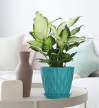 7 Inch Plant Pots 5 Pack, Flower Planters with Drainage Holes and Trays,Plastic Pots for Indoor Outdoor Plants,Green