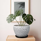Ceramic Planters for Indoor Plants - 10 Inch Plant Pot with Drainage Hole and Saucer, Large Flower Pot for Home Decor, White/Black