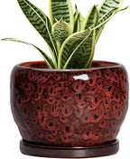 SQOWL Ceramic Pot for Plants - 6 Inch Plant Pot Indoor with Drainage Hole and Saucer, Decorative Flower Pot Outdoor, Round Succulent Planter, Front Porch Decor, House Warming Gifts New Home, Red