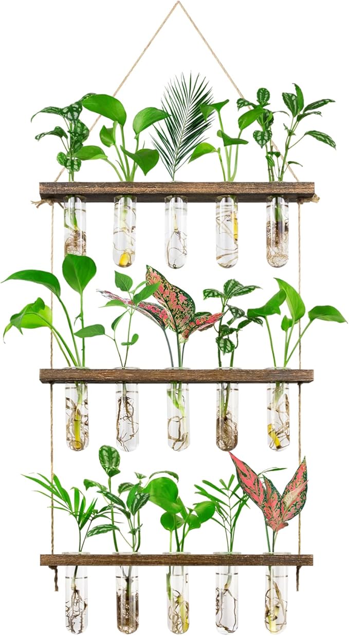 Terrarium Hanging Propagation Station, 3-Tier Wood Frame, 15 Glass Tubes