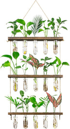 Terrarium Hanging Propagation Station, 3-Tier Wood Frame, 15 Glass Tubes