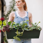 Bloem Dayton Window Box Planter: 24" - Turtle Green - 100% Recycled Durable Plastic Box, Elevated Feet, for Indoor and Outdoor Use, Gardening, 5 Gallon Capacity