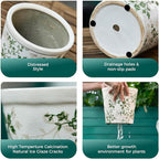 Ceramic Planter with Drainage Hole, Plastic Tray & Mesh, 6.7 Inch - Indoor/Outdoor Flower Pot for Orchids, Succulents, Green Floral Modern Farmhouse Décor for Home,Office and Garden, Ideal Gift