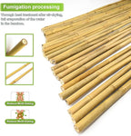 10pcs 1" D Thicker Heavy Duty Bamboo Stakes, 8FT Plant Stakes, Natural Garden Stakes for Tomato, Bean, Flowers,Trees Potted and Climbing Plant Support