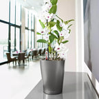 Lechuza 14903 Deltini Self-Watering Planter for Indoor and Outdoor Use, 6" x 6" x 7", Charcoal
