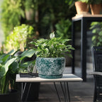 SQOWL 8 Inch Plant Pot - Ceramic Planter for Indoor Plants, Decorative Flower Pot with Drainage Hole and Saucer, Round Planter Outdoor, Room Patio Decor, Garden Gifts for Women, Green