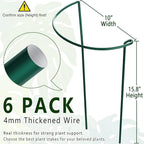 6 Pack Plant Support Stakes, 15.8" Half Round Metal Garden Plant Supports for Indoor Plants, Green Plant Cage Ring for Monstera, Peony, Hydrangea, Potted Plant Holder Sticks (10" Wide)