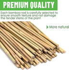 35Pcs Plant Stakes,Premium Natural Bamboo Garden Stakes,Bamboo Sticks Support for Indoor and Outdoor Plants,Tomato,Vegetables Beans,Potted and Climbing Plants