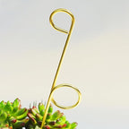 14.17in Plant Trellis Indoor, 4.2mm Dia Gold Small Trellis for Potted Plants, Metal Trellis for Climbing Plants Indoor Support for houseplant Hoya Photos Succulents Hostas, Plant Decor