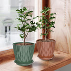6 Pack 6 Inch Indoor Plant Pots with Drainage Holes, Outdoor Plastic Decorative Flower Pots, Garden Planters with Tray Saucers for Orchids, Violets, Succulents, Herbs, and Other Plants