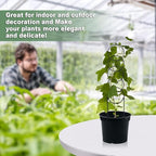 17.5 Inch Plant Trellis Indoor for Climbing Plants,Metal Trellis,Small Garden Trellis for Potted Plants,Plant Stakes for Indoor Plants Accessories Hoya,Flower,Plant Support,Plant Gifts(Circular-Metal)