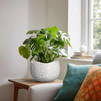 Ceramic Plant Pot - 8 Inch Round Planter with Drainage Hole, Decorative Plant Pots for Indoor Outdoor Plants, Modern Unique Flower Pots, House Living Room Decor, Housewarming Gifts, White