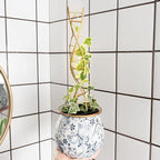 Indoor Plant Trellis for Potted Plants - Durable Metal Climbing Trellis with Unique DNA Spiral Design for Vining Plants, Easy Installation for Indoor & Outdoor Use
