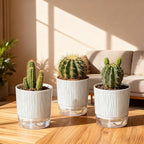3 Pack Self Watering Pots Set, 4 Inch Self Watering Pots for Indoor Plants, Planter Pot with Wick Rope and Reservoir for African Violet, Spider Plant, Orchid