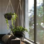 La Jolie Maison 10 Inch Hanging Planters for Indoor Plants, Outdoor Garden Planter Pots with Self-Watering Tray, Jet Black, Spiral Pattern, Set of 2
