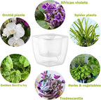 6-Pack 7 Inches Clear Self Watering Planters for Indoor Plants Large African Violet Plant Pots Plastic Wick Flower Pots with Water Injection Hole, Orchid Plant Pot Set, Clear