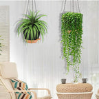 GARDIFE Hanging planters for Indoor Plants, 8 inch Hanging Planter, Self Watering Plant Pot, 2 Pack self Watering Hanging Planter, Black