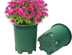 5 Gallon 10-Pack Green Nursery Pot Black Plastic Planters with Drainage for Outdoor Indoor Large Plants Trees