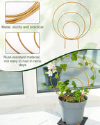 Unique Round Hoya Trellis, 3 Pcs Different Small Houseplant Trellis for Indoor Climbing Plant, Garden Trellis Plant Support for Potted Ivy and Flowers Outdoor(Gold)