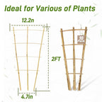 Avalution 10 Pack Bamboo Trellis for Climbing Plants, 2 FT Garden Ladder Trellis for Potted Plants Indoor, Fan-Shaped Small Plant Support Trellis for Houseplants Ivy Hoya Vine Monstera