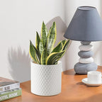 Docrin Ceramic Planters Indoor, 8 Inch Plant Pot with Drainage Holes for Home/Office - White Honeycomb