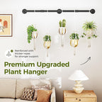 Bamworld Window Plant Hanger Indoor 63in Hanging Planters for Indoor Plants Hanging Plants Holder Hanging Rod Window Plant Shelves Wall Planters Pot/Chain/Plant Not Included(Black)