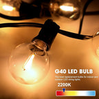 LED Bulbs, 50 Count G40 Clear Plastic E12 Dimmable