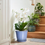 Ceramic Plant Pots - 10 Inch Plant Pot for Indoor Outdoor, Round Planter with Drainage Hole and Saucer, Decorative Large Planters, Modern Flower Pots, House Decor, Garden Gift, Purple-Blue