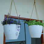 8 inch Hanging Planters, 2 Pack Self Watering Hanging Pots with 20oZ Deep Reservoir for Indoor Outdoor Plants Flowers, White