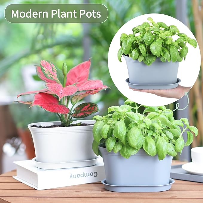 Windowsill Herb Garden Planter with Tray, Set of 6 Grey Oval Farmhouse Garden Pots for Indoor/Outdoor Plants (No Seeds)