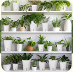 18 Pcs Self Watering Pots Plastic Plant 3 Sizes Flower Plant Pot with Inner White Flower Pots for Indoor House Plants Plastic Self Watering Pot for Herbs Flowers