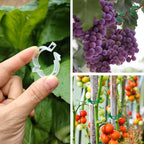 Plant Support Clips, 100 Pcs Tomato Clips, Plastic Trellis Clips, Grape Vine Tomato Vine Vegetables Plants Garden Support Clips to Grow Upright Makes Plants Healthier (Plastic, White)