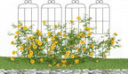 4 Pack 31'' Plant Trellis for Climbing Plants Indoor & Outdoor, Metal Trellis for Potted Plants, Plant Support for Houseplant, Vines, Pothos, Rose, Ivy, and Flowers, Black